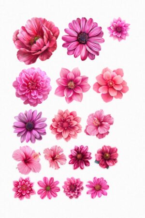 Fleurs Roses Éclatantes