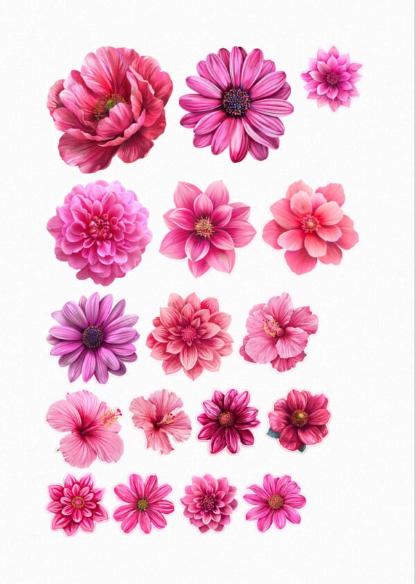 Une collection de quinze de mes stickers représentant différentes variétés de fleurs roses, incluant des pivoines aux pétales volumineux, des dahlias aux formes géométriques, des hibiscus aux couleurs vives et des petites fleurs aux cœurs jaunes, dans différentes nuances de rose allant du rose pâle au fuchsia intense. crées par véronique créatrice de stickers