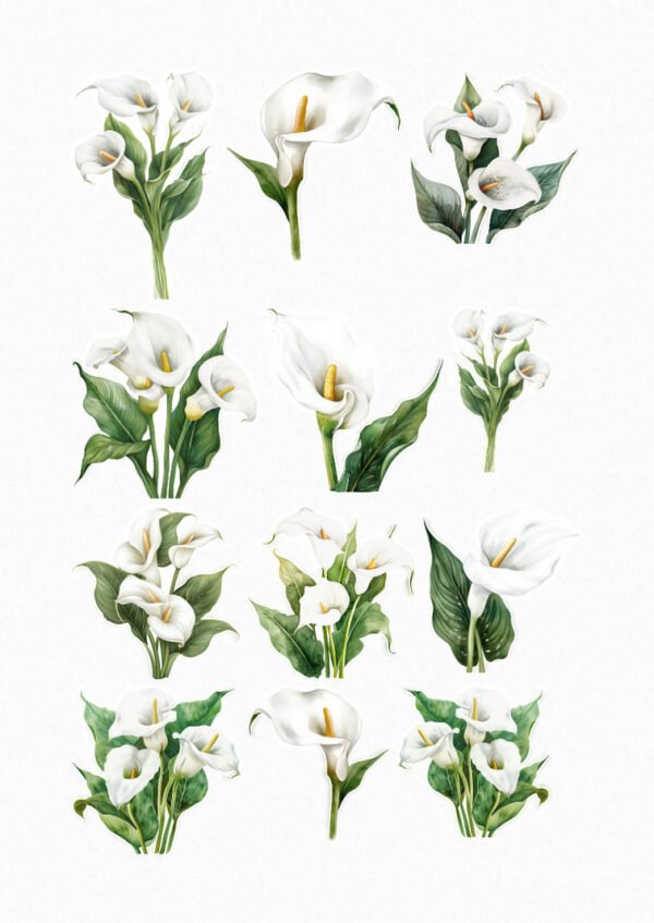 Une collection de douze de mes stickers représentant des fleurs de callas blancs avec leurs feuilles vertes, certaines seules et d'autres en bouquet crées par véronique, créatrice de stickers