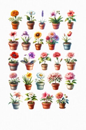 Pots de fleurs