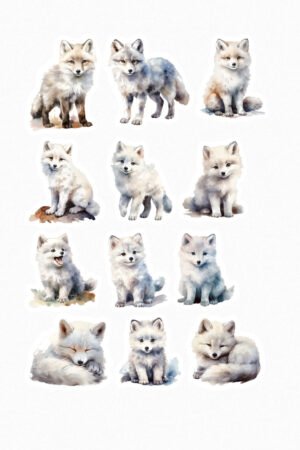 Renards blancs