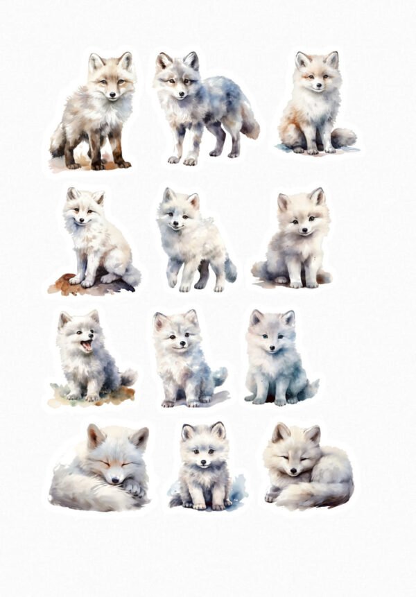 Une collection de douze de mes stickers représentant des renards arctiques dans différentes poses (assis, couchés, en train de regarder) avec leur pelage épais, souvent blanc ou gris blanc, typique des régions polaires. crées par véronique, créatrice de stickers
