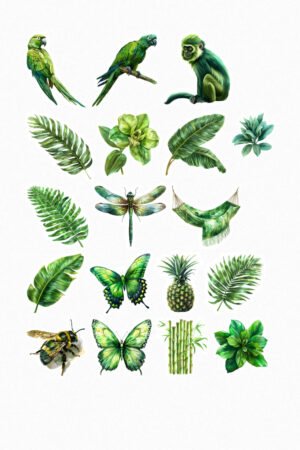 Jungle tropicale verte