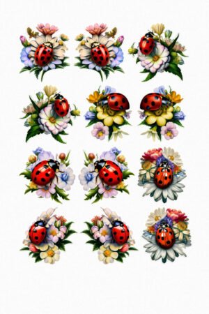 Coccinelles florales