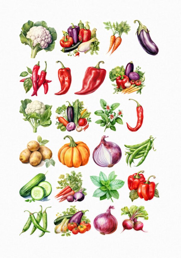 Une planche de vingt stickers de style aquarelle ou illustration réaliste, représentant une variété de légumes frais et colorés. On y voit des choux-fleurs, des mélanges de poivrons et d'aubergines, des bottes de carottes, des aubergines individuelles, des piments rouges vifs, des haricots verts, des pommes de terre, des citrouilles, des oignons (rouges et blancs), des concombres tranchés, de la menthe fraîche, des radis, et des tomates cerises. Les couleurs sont vives et naturelles, avec des dégradés qui rappellent l'aquarelle. crées par véronique, créatrice de stickers