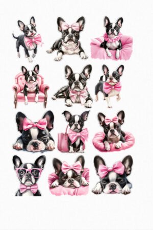 Boston terriers chics