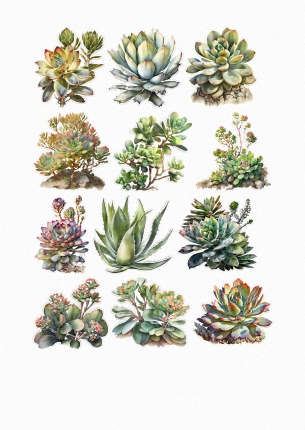 Une planche de douze stickers de style illustration botanique ou aquarelle, représentant diverses plantes succulentes et agaves dans des tons de vert, gris-bleu, rose et orange. Les plantes sont présentées sous différentes formes : certaines en rosettes, d'autres avec des tiges ramifiées, et des agaves aux feuilles pointues. L'ensemble met en valeur la diversité et la beauté graphique des succulentes. crées par véronique, créatrice de stickers