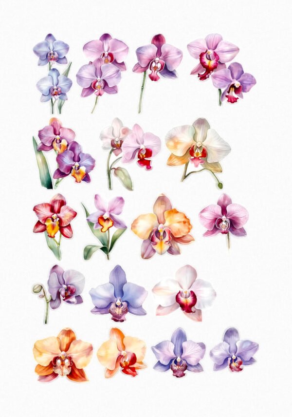 Une planche de dix-huit stickers de style illustration aquarelle, représentant une variété d'orchidées aux couleurs vibrantes. Les fleurs sont en pleine éclosion, avec des pétales dans des tons de violet, rose, bleu, jaune, orange et blanc, et des cœurs souvent contrastants. Certaines orchidées sont montrées sur leur tige, d'autres sont des grappes florales. Les illustrations sont détaillées, mettant en valeur la délicatesse et la forme élégante de chaque fleur. crées par véronique, créatrice de stickers