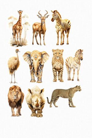 Animaux de la savane